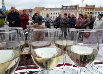 Svatý Martin zavítal do Vyškova